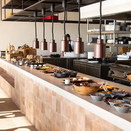 Koia - Well Being - Adults Only