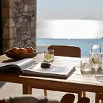 Koia - Well Being - Adults Only