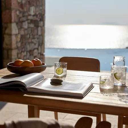 Koia - Well Being - Adults Only