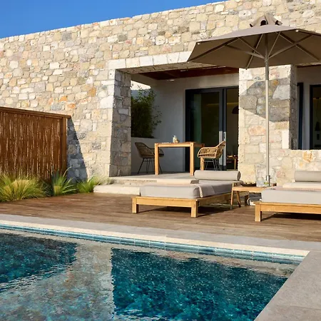 Koia - Well Being - Adults Only