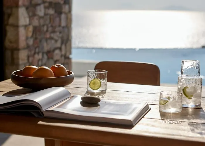 Koia - Well Being - Adults Only