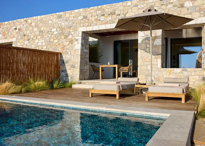 Koia - Well Being - Adults Only