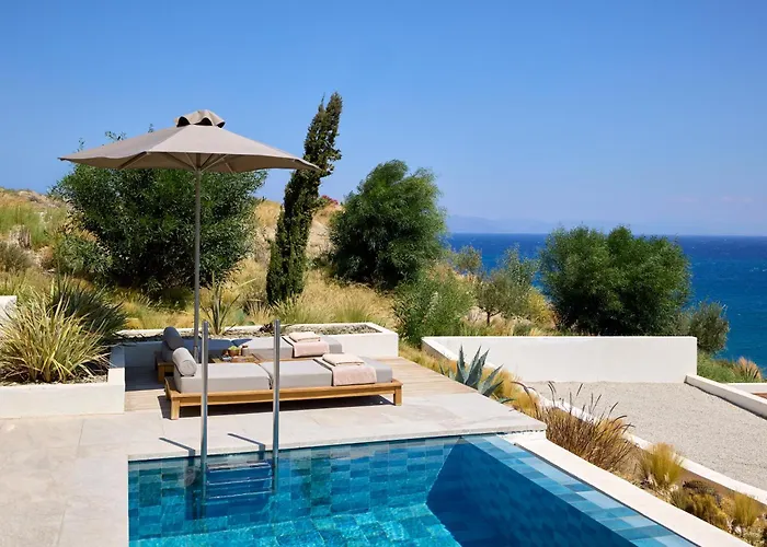 Koia - Well Being - Adults Only