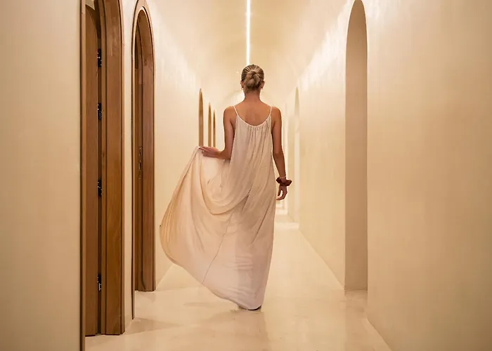 Koia - Well Being - Adults Only