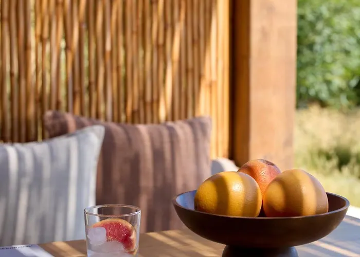 Koia - Well Being - Adults Only 5*