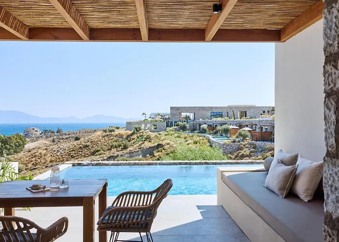 Koia - Well Being - Adults Only